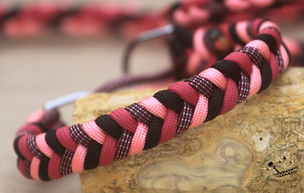 collier en paracorde pour chien