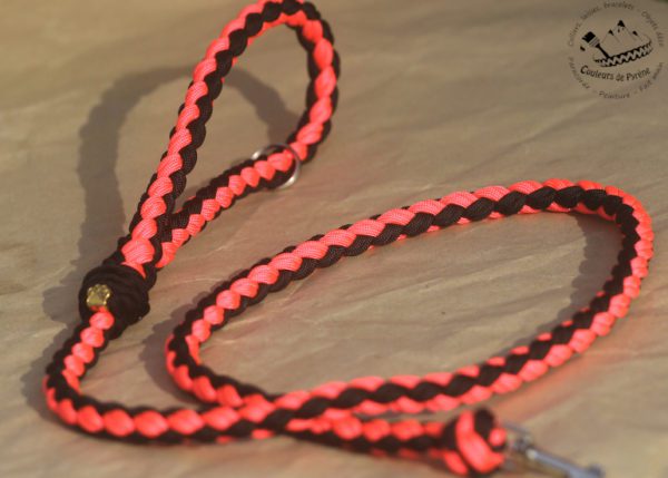 laisse en paracorde pour chien