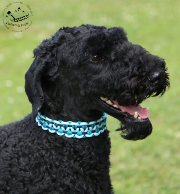 collier en paracorde pour chien