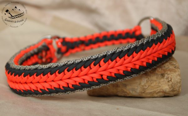collier pour chien en paracorde