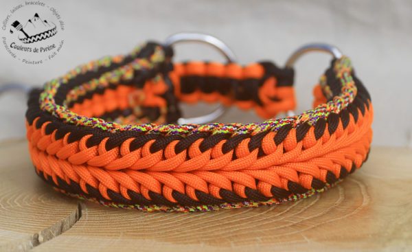 collier pour chien en paracorde