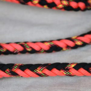 laisse 3 points en paracorde