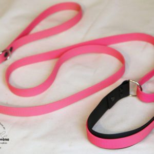 laisse lasso en biothane