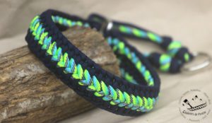 collier pour chien coloré en paracorde