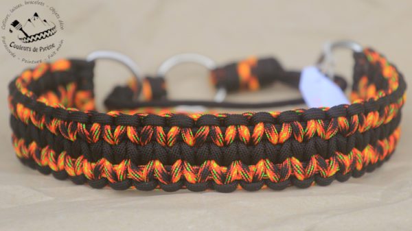 collier pour chien coloré en paracorde