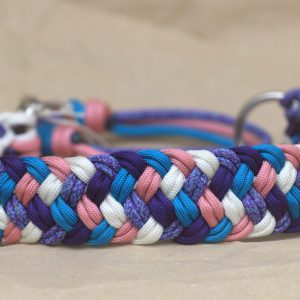 collier en paracorde pour chien