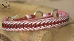 collier pour chien en paracorde