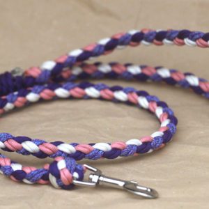 laisse en paracorde pour chien