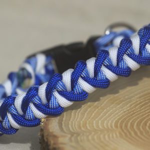 collier pour petit chien en paracorde