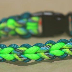 collier pour chien, en paracorde