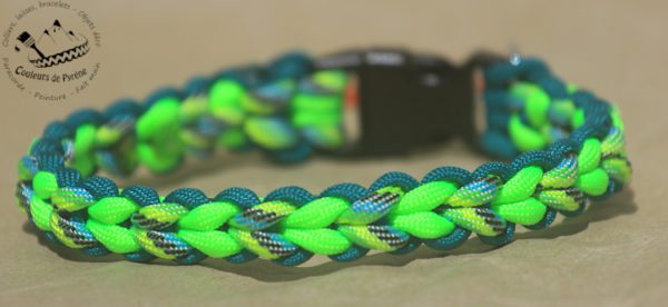 collier pour chien, en paracorde