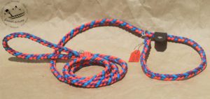 laisse lasso en paracorde