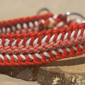 collier pour chien enparacorde