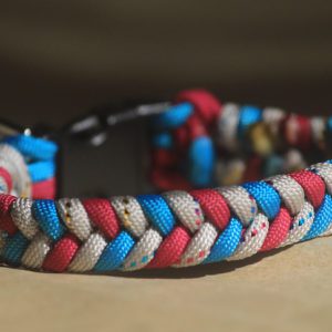 collier en paracorde pour petit chien
