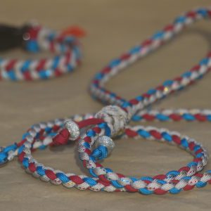 laisse pour petit chien en paracorde
