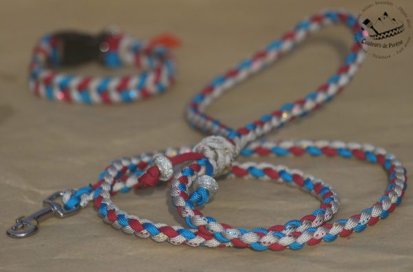 laisse pour petit chien en paracorde