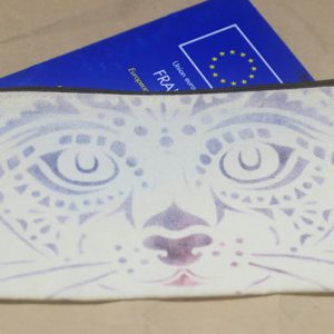 pochette pour papier chat