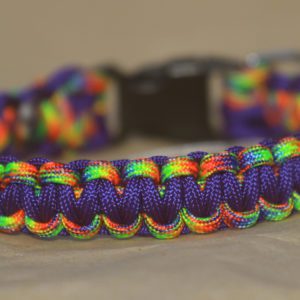 collier en paracorde pour chien
