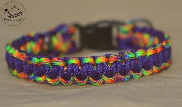 collier en paracorde pour chien