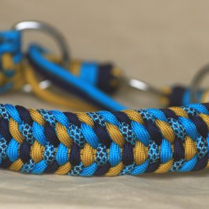 collier en paracorde pour chien