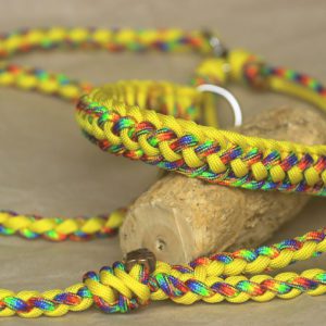 combo laisse-collier en paracorde pour chien