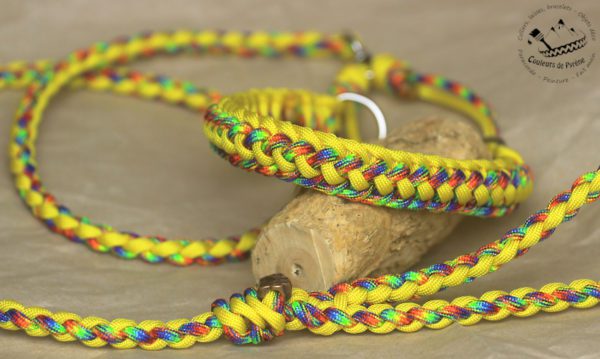 combo laisse-collier en paracorde pour chien
