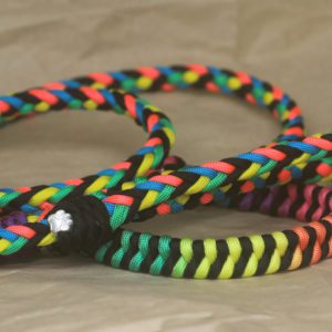combo laisse-collier en paracorde pour chien