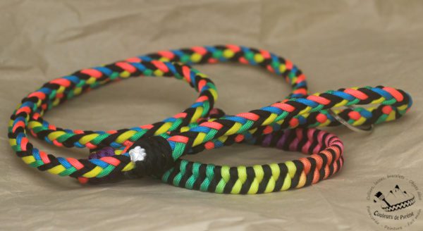 combo laisse-collier en paracorde pour chien