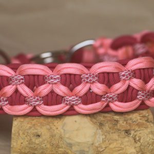 collier en paracorde poru chien