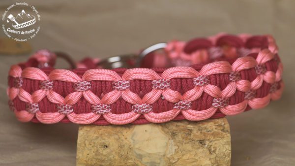 collier en paracorde poru chien