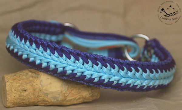 collier en paracorde pour chien