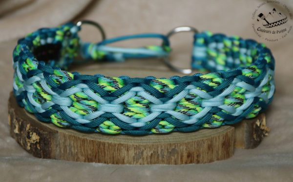 collier en paracorde pour chien