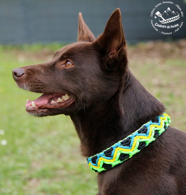 Collier en paracorde pour chien