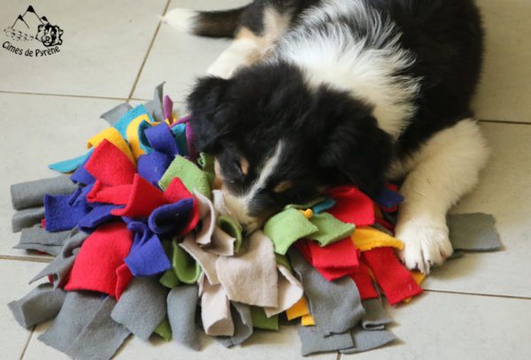 snuffle mat