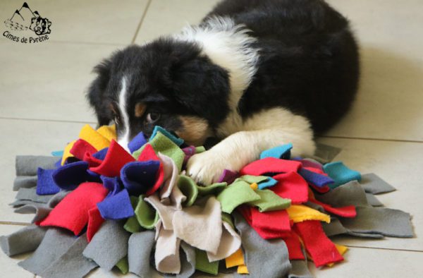 tapis de fouille pour chien