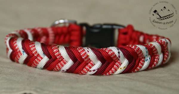 collier en paracorde pour chien