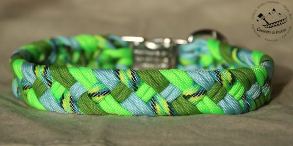 collier en paracorde pour chien
