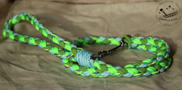 laisse en paracorde pour chien