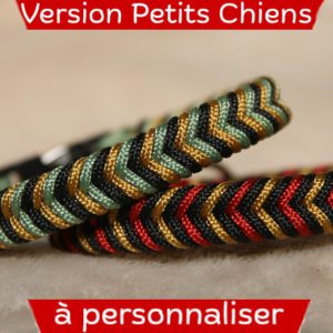 collier en paracorde sur mesure pour petits chiens