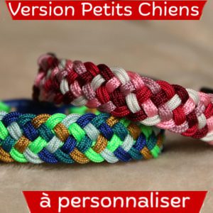 A personnaliser : Collier ESTAUBE (Version PETIT CHIEN)