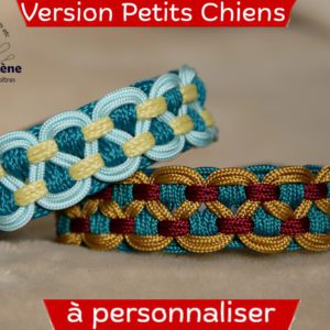 collier sur mesure pour petits chiens, en paracorde fine