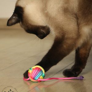 balle en corde pour chats