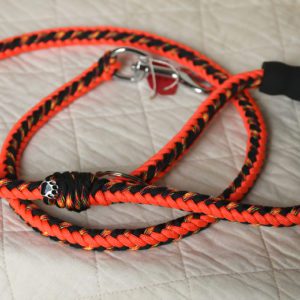 laisse en paracorde pour chien