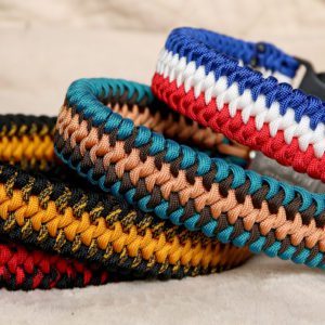 collier en paracorde pour chien