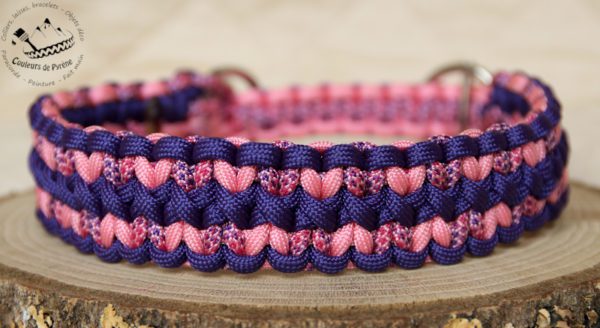 collier en paracorde pour chien