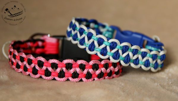 Collier très fin et très légers pour petits chiens et chat