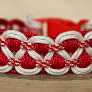 collier en paracorde pour petit chien