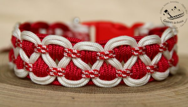 collier en paracorde pour petit chien