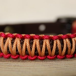collier en paracorde pour petit chien