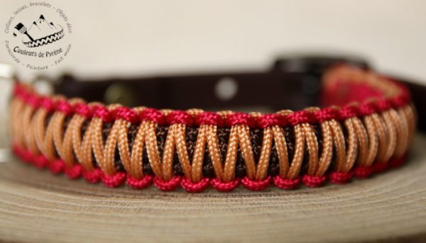 collier en paracorde pour petit chien